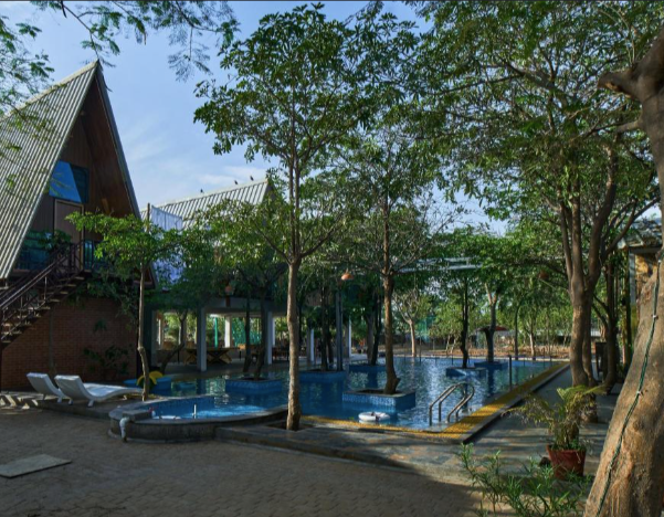 From wildlife retreats and eco-resorts to luxury hotels and heritage palaces, these tourist places near Ahmedabad are perfect for a refreshing break from city life and unforgettable travel experiences.