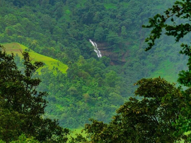 Wilson Hills viewpoint with fog-covered valleys and monsoon greenery in South Gujarat.